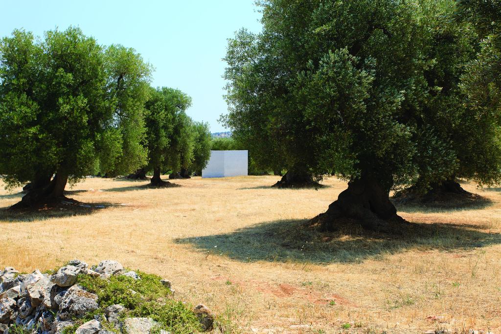 Bed Biancaneve Centro Storico Остуни Номер фото